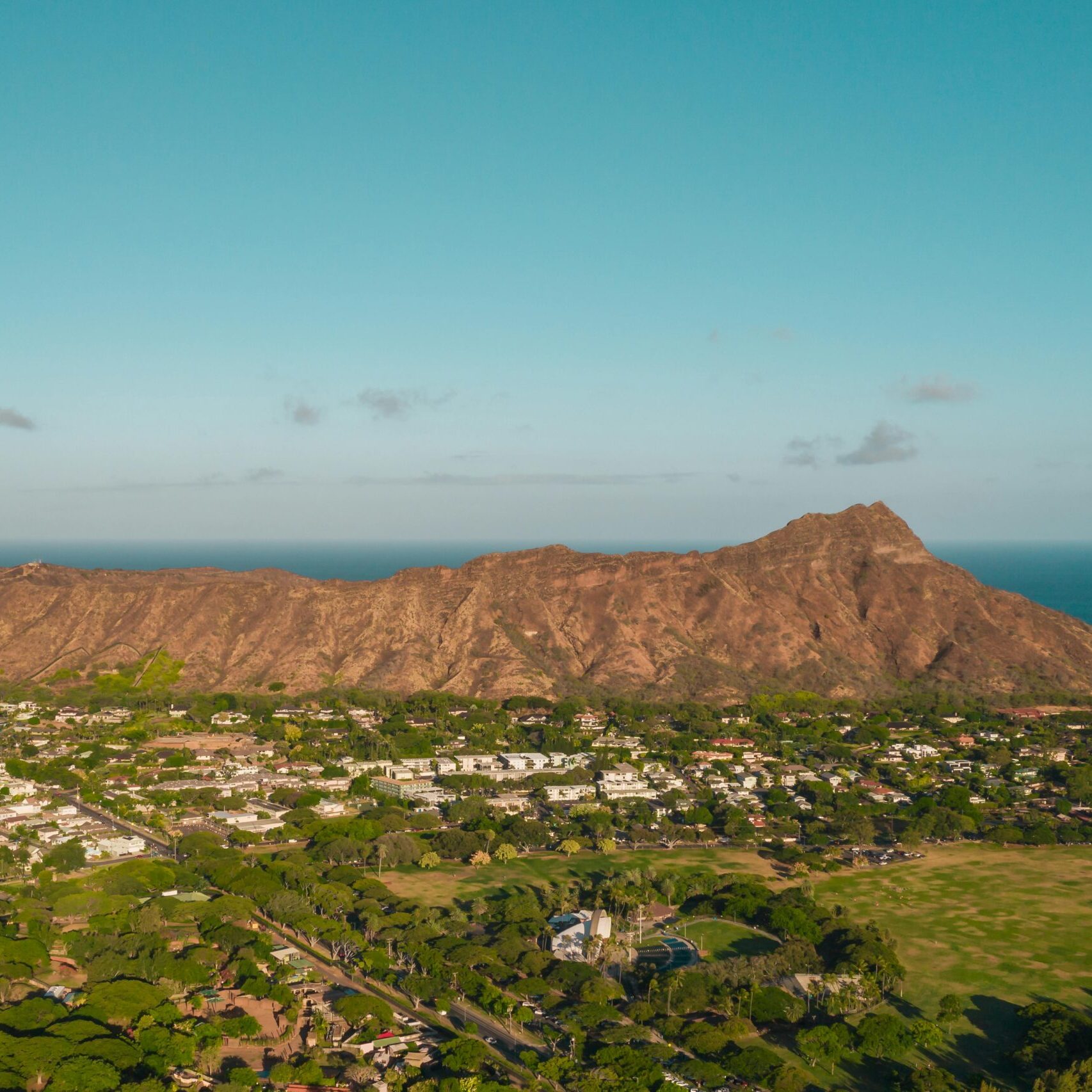 pexels-jess-vide-4785007