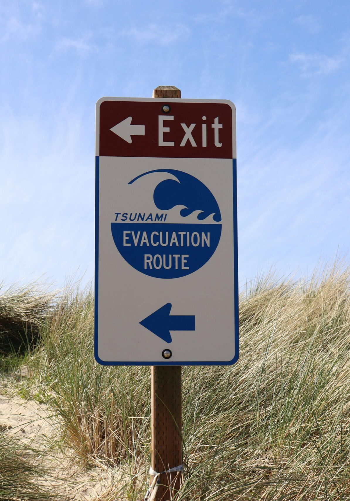 pexels-max-j-591756779-17122126