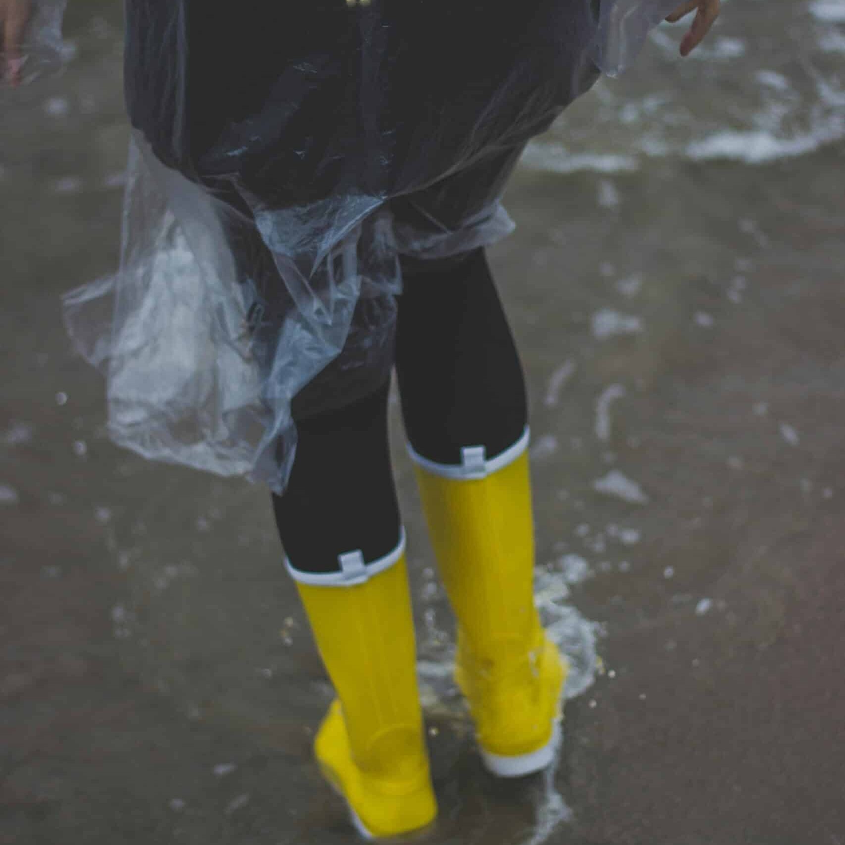 pexels-valeriya-724656